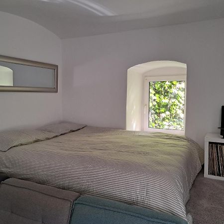 Apartament City Centar Apartman With Garden Zagrzeb Zewnętrze zdjęcie