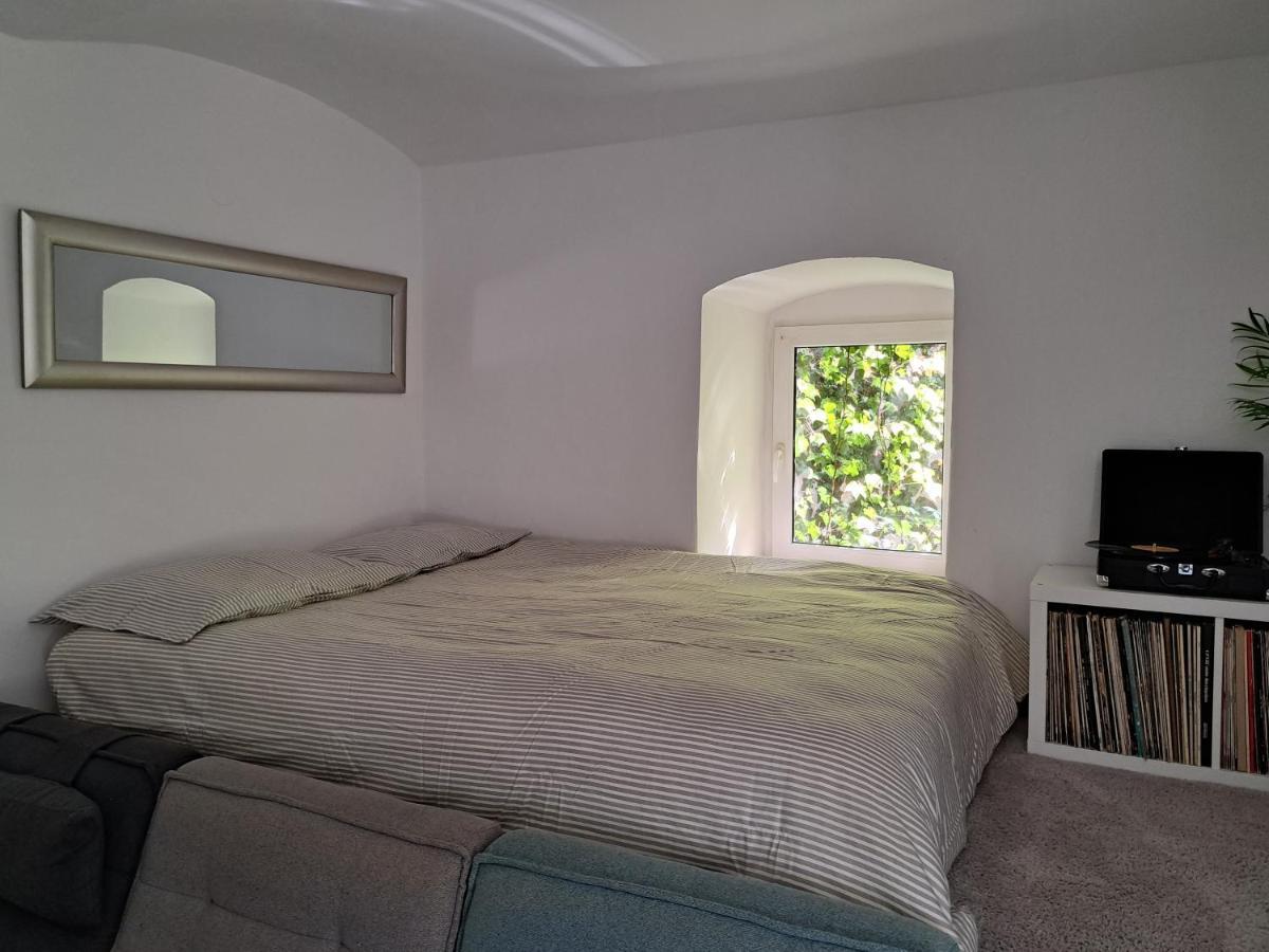 Apartament City Centar Apartman With Garden Zagrzeb Zewnętrze zdjęcie