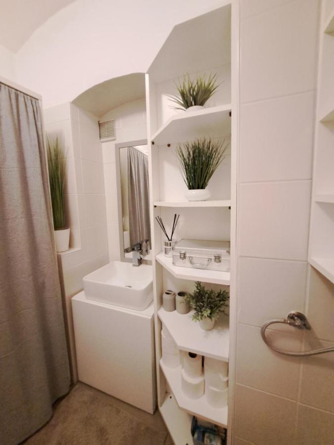 Apartament City Centar Apartman With Garden Zagrzeb Zewnętrze zdjęcie